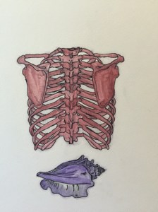 IMG_4984