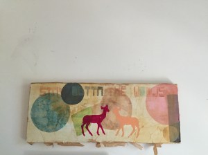 IMG_5025