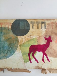 IMG_5027